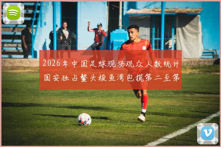 2026年中国足球现场观众人数统计国安独占鳌头梭鱼湾包揽第二至第七位